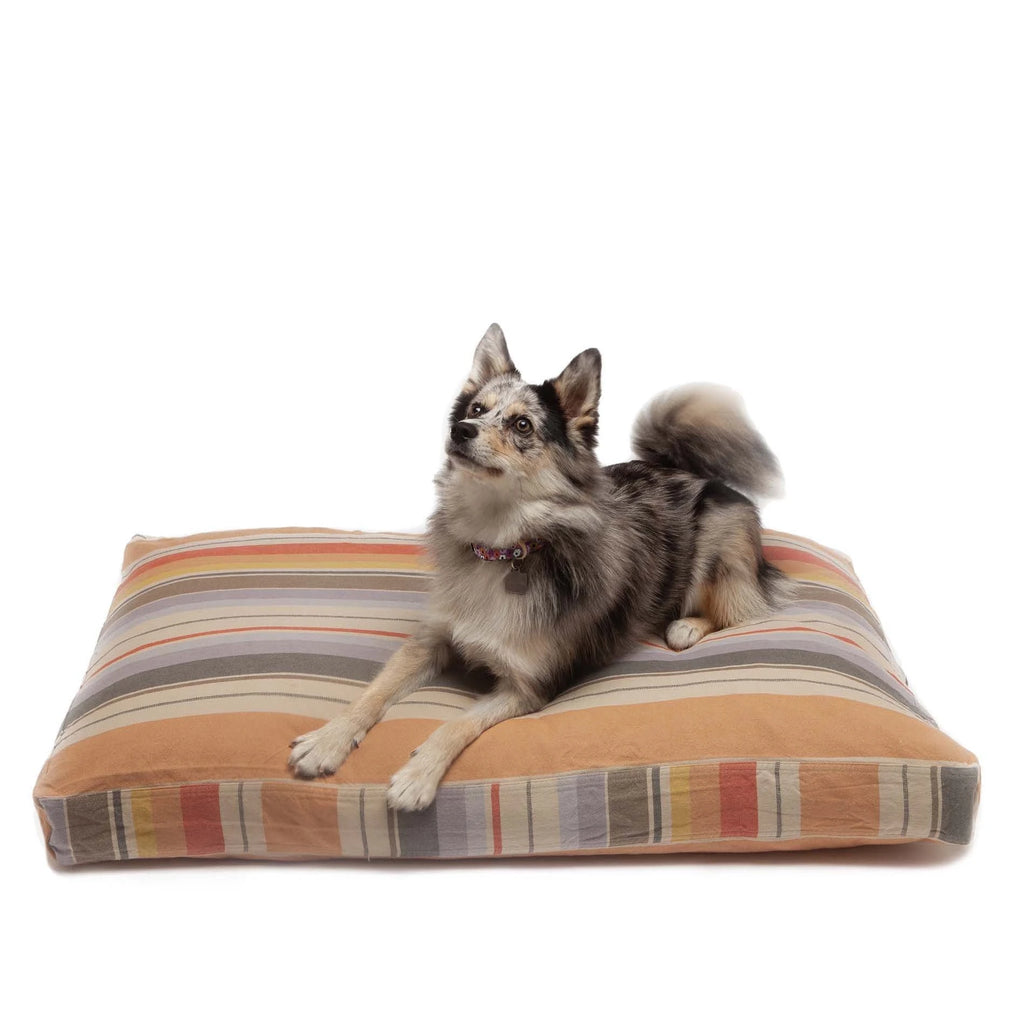 Dog Beds